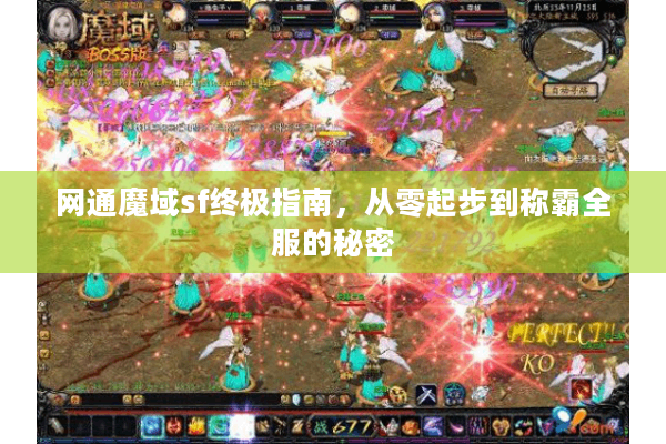 网通魔域sf终极指南，从零起步到称霸全服的秘密
