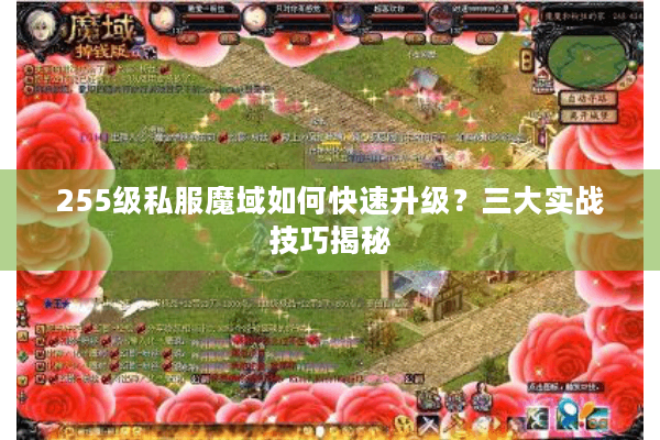 255级私服魔域如何快速升级？三大实战技巧揭秘