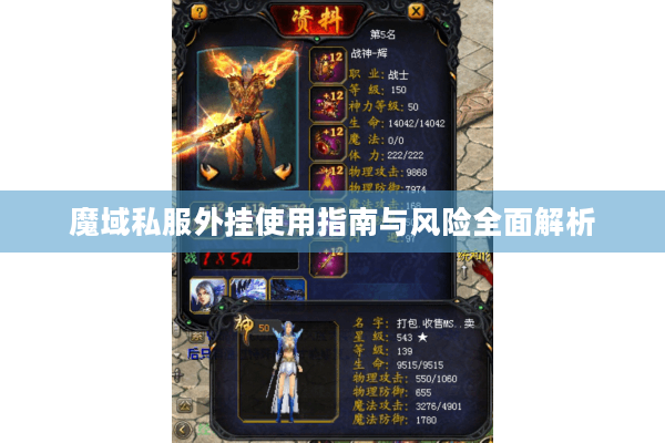 魔域私服外挂使用指南与风险全面解析