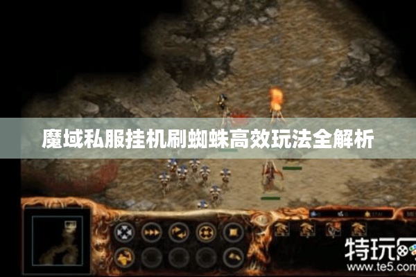 魔域私服挂机刷蜘蛛高效玩法全解析