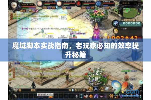 魔域脚本实战指南，老玩家必知的效率提升秘籍