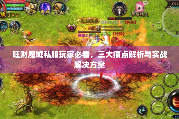 旺财魔域私服玩家必看，三大痛点解析与实战解决方案