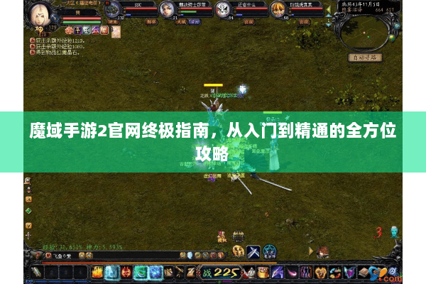 魔域手游2官网终极指南，从入门到精通的全方位攻略