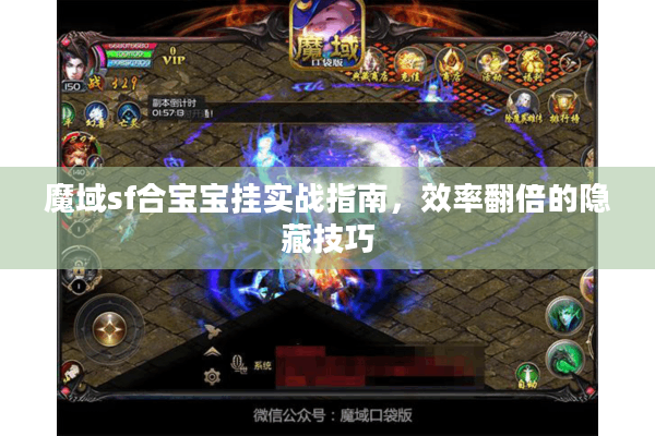 魔域sf合宝宝挂实战指南，效率翻倍的隐藏技巧