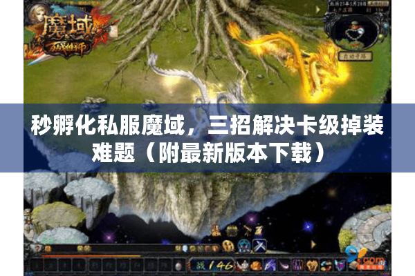 秒孵化私服魔域，三招解决卡级掉装难题（附最新版本下载）