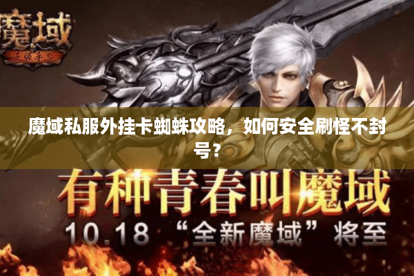 魔域私服外挂卡蜘蛛攻略，如何安全刷怪不封号？
