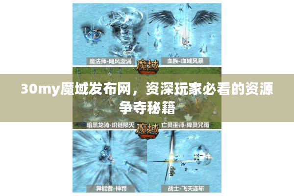 30my魔域发布网，资深玩家必看的资源争夺秘籍