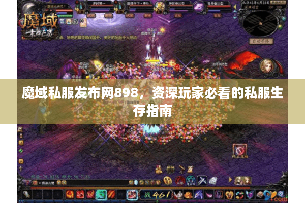 魔域私服发布网898，资深玩家必看的私服生存指南