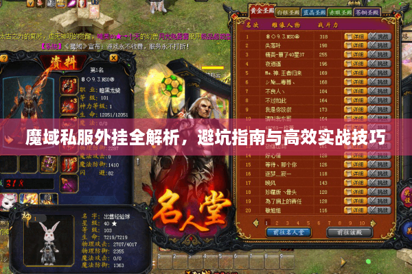 魔域私服外挂全解析，避坑指南与高效实战技巧