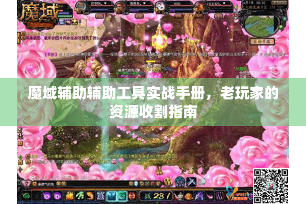 魔域辅助辅助工具实战手册，老玩家的资源收割指南