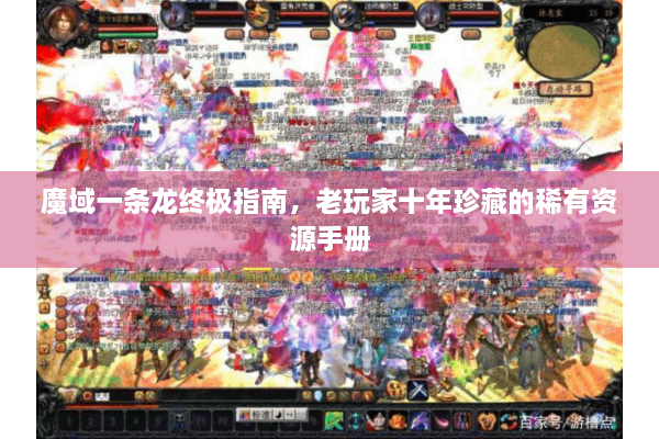 魔域一条龙终极指南，老玩家十年珍藏的稀有资源手册