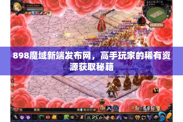 898魔域新端发布网，高手玩家的稀有资源获取秘籍
