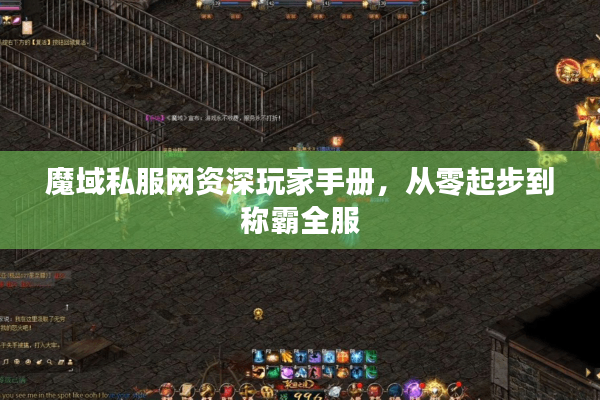 魔域私服网资深玩家手册，从零起步到称霸全服