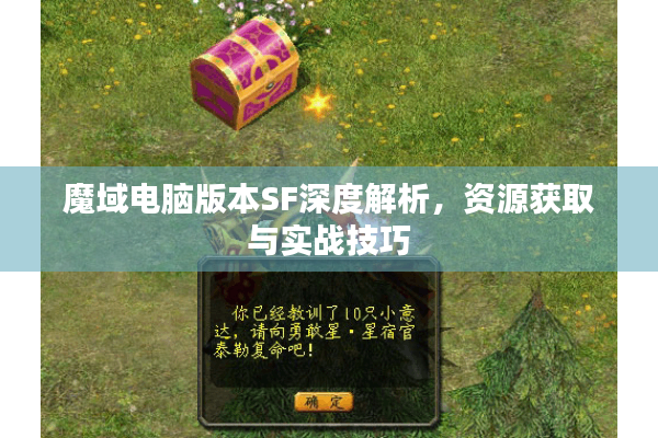 魔域电脑版本SF深度解析，资源获取与实战技巧