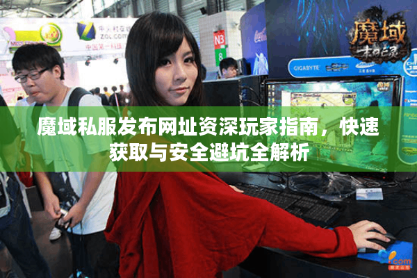魔域私服发布网址资深玩家指南，快速获取与安全避坑全解析