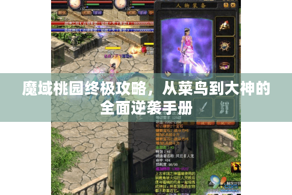 魔域桃园终极攻略，从菜鸟到大神的全面逆袭手册