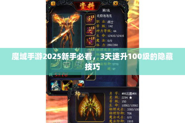 魔域手游2025新手必看，3天速升100级的隐藏技巧