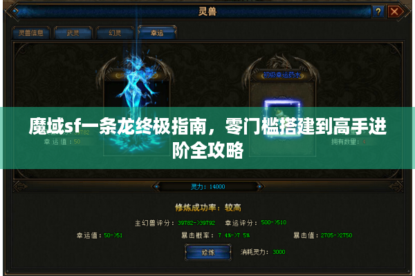 魔域sf一条龙终极指南，零门槛搭建到高手进阶全攻略