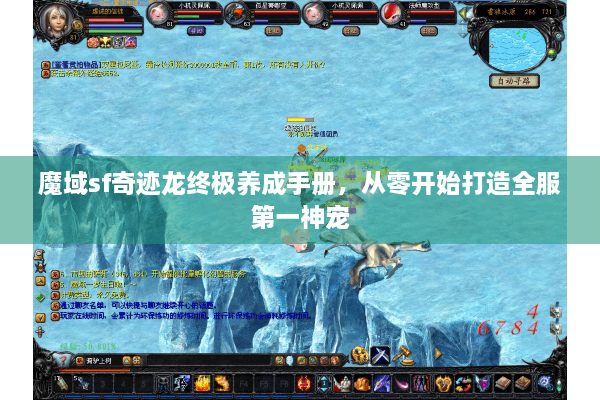 魔域sf奇迹龙终极养成手册，从零开始打造全服第一神宠