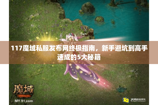 117魔域私服发布网终极指南，新手避坑到高手速成的5大秘籍