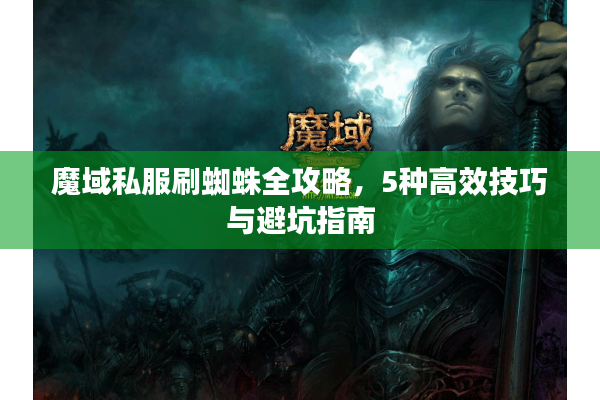 魔域私服刷蜘蛛全攻略，5种高效技巧与避坑指南