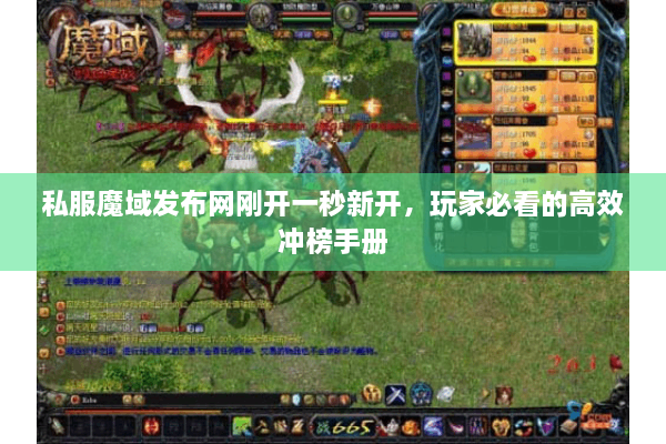 私服魔域发布网刚开一秒新开，玩家必看的高效冲榜手册