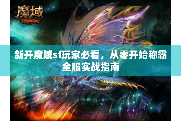 新开魔域sf玩家必看，从零开始称霸全服实战指南