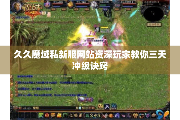 久久魔域私新服网站资深玩家教你三天冲级诀窍