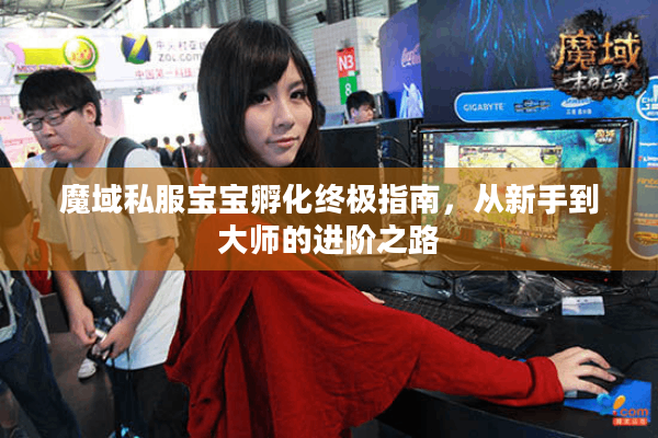 魔域私服宝宝孵化终极指南，从新手到大师的进阶之路
