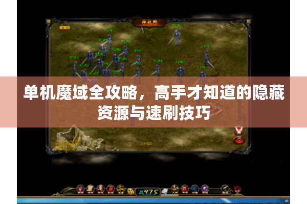 单机魔域全攻略，高手才知道的隐藏资源与速刷技巧