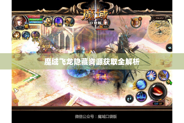 魔域飞龙隐藏资源获取全解析