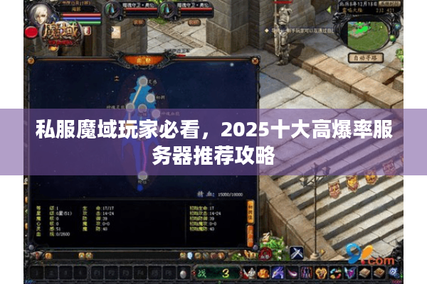 私服魔域玩家必看，2025十大高爆率服务器推荐攻略