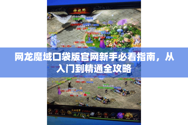 网龙魔域口袋版官网新手必看指南，从入门到精通全攻略