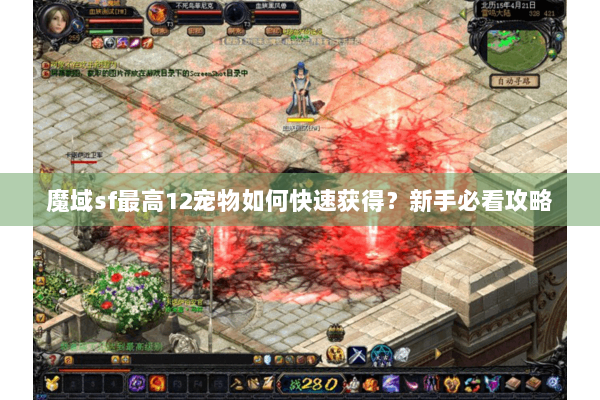 魔域sf最高12宠物如何快速获得？新手必看攻略