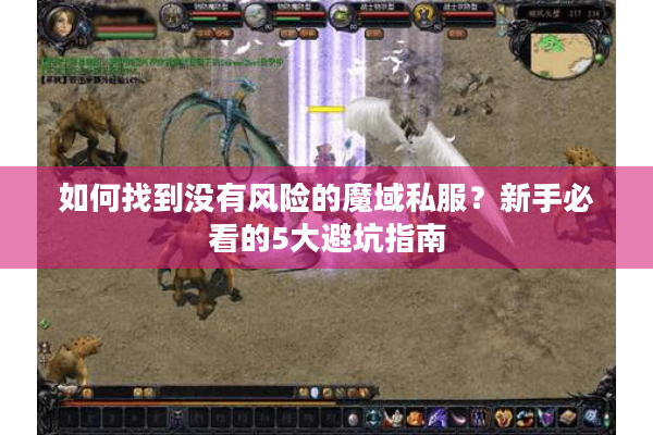 如何找到没有风险的魔域私服？新手必看的5大避坑指南