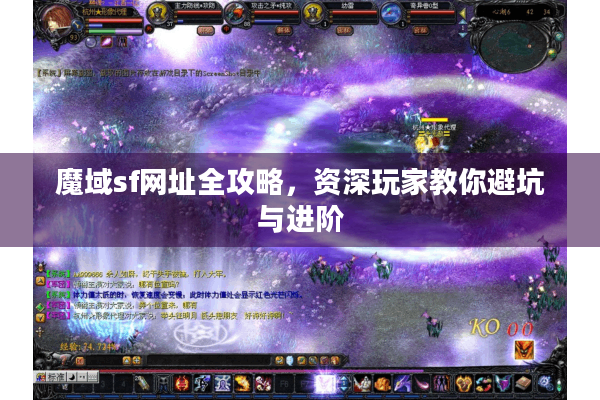 魔域sf网址全攻略，资深玩家教你避坑与进阶