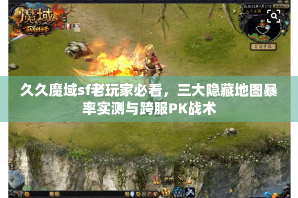 久久魔域sf老玩家必看，三大隐藏地图暴率实测与跨服PK战术