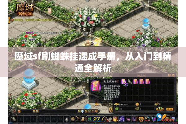 魔域sf刷蜘蛛挂速成手册，从入门到精通全解析