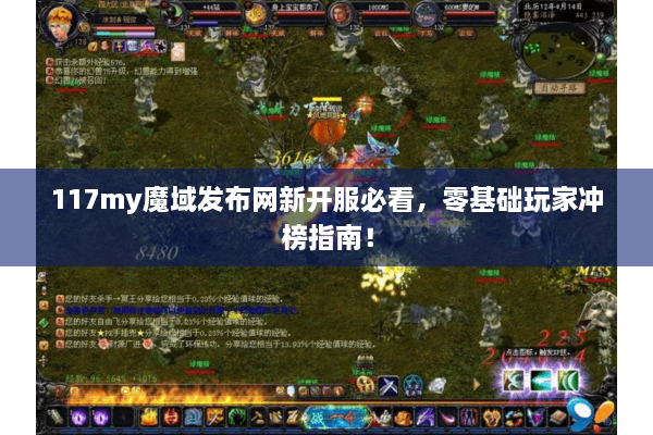 117my魔域发布网新开服必看，零基础玩家冲榜指南！