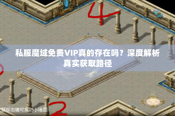 私服魔域免费VIP真的存在吗？深度解析真实获取路径